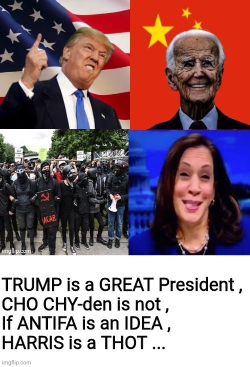 An idea to America | image tagged in leftist,trump,biden,kamala | made w/ Imgflip meme maker