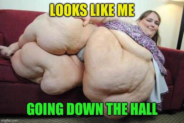fat girl | LOOKS LIKE ME GOING DOWN THE HALL | image tagged in fat girl | made w/ Imgflip meme maker