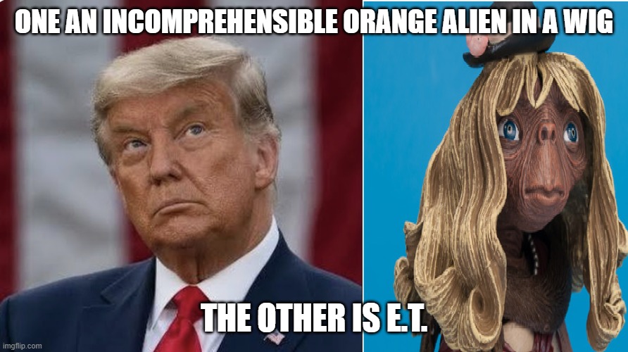 Is he E.T? | ONE AN INCOMPREHENSIBLE ORANGE ALIEN IN A WIG; THE OTHER IS E.T. | image tagged in donald trump,trump,alien,extraterrestrial | made w/ Imgflip meme maker