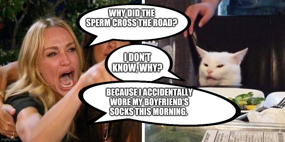 Smudge the cat | WHY DID THE SPERM CROSS THE ROAD? I DON'T KNOW, WHY? BECAUSE I ACCIDENTALLY WORE MY BOYFRIEND'S SOCKS THIS MORNING. | image tagged in smudge the cat | made w/ Imgflip meme maker