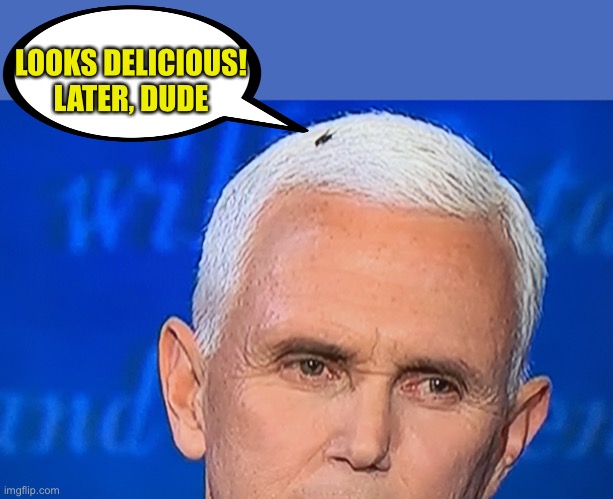 Pence Fly | LOOKS DELICIOUS!
LATER, DUDE | image tagged in pence fly | made w/ Imgflip meme maker