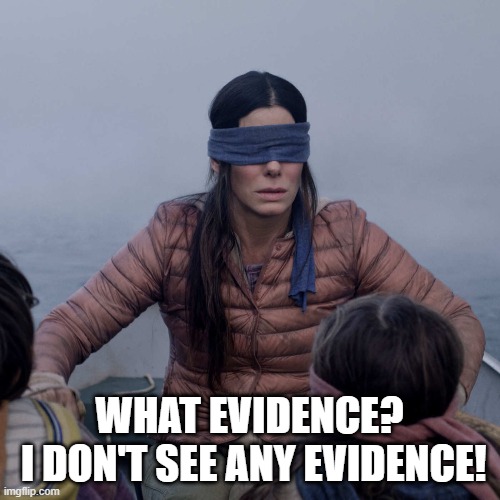 Bird Box | WHAT EVIDENCE?
 I DON'T SEE ANY EVIDENCE! | image tagged in memes,bird box | made w/ Imgflip meme maker