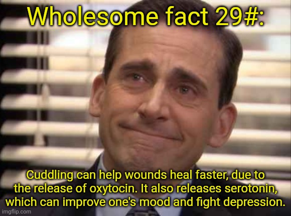 wholesome | Wholesome fact 29#:; Cuddling can help wounds heal faster, due to the release of oxytocin. It also releases serotonin, which can improve one's mood and fight depression. | image tagged in wholesome | made w/ Imgflip meme maker