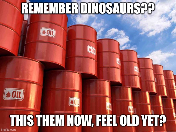 The good times | REMEMBER DINOSAURS?? THIS THEM NOW, FEEL OLD YET? | image tagged in dinosaurs | made w/ Imgflip meme maker