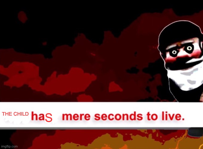 You have mere seconds to live | THE CHILD S | image tagged in you have mere seconds to live | made w/ Imgflip meme maker