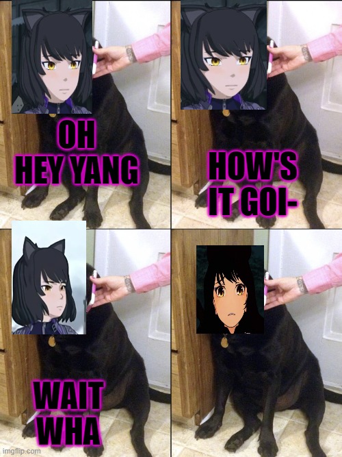 Hello this is dog | OH HEY YANG; HOW'S IT GOI-; WAIT WHA | image tagged in hello this is dog,rwby | made w/ Imgflip meme maker