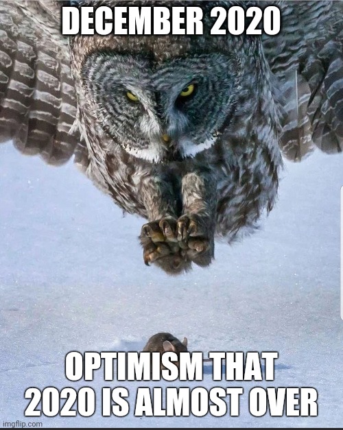 DECEMBER 2020; OPTIMISM THAT 2020 IS ALMOST OVER | made w/ Imgflip meme maker