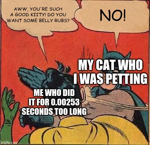 Batman Slapping Robin Meme | AWW, YOU'RE SUCH A GOOD KIITY! DO YOU WANT SOME BELLY RUBS? NO! MY CAT WHO I WAS PETTING; ME WHO DID IT FOR 0.00253 SECONDS TOO LONG | image tagged in memes,batman slapping robin,cats | made w/ Imgflip meme maker