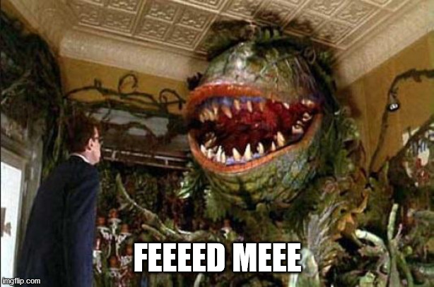 Feed me | FEEEED MEEE | image tagged in feed me | made w/ Imgflip meme maker