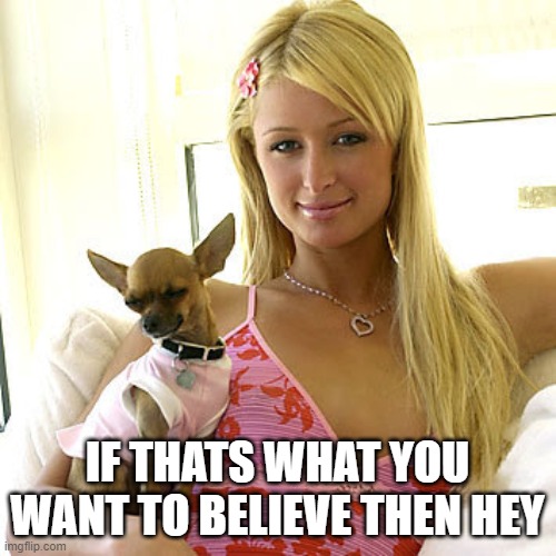 Paris Hilton | IF THATS WHAT YOU WANT TO BELIEVE THEN HEY | image tagged in paris hilton | made w/ Imgflip meme maker