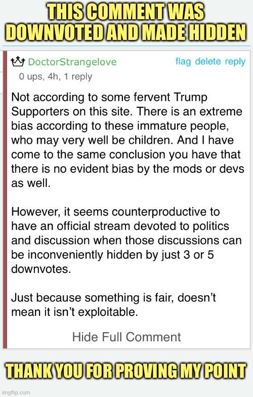 Downvoting comments should be disabled in the Politics stream | THIS COMMENT WAS DOWNVOTED AND MADE HIDDEN; THANK YOU FOR PROVING MY POINT | image tagged in politics,imgflip,downvoting | made w/ Imgflip meme maker