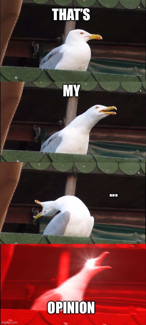 Inhaling Seagull Meme | THAT’S; MY; ... OPINION | image tagged in memes,inhaling seagull | made w/ Imgflip meme maker