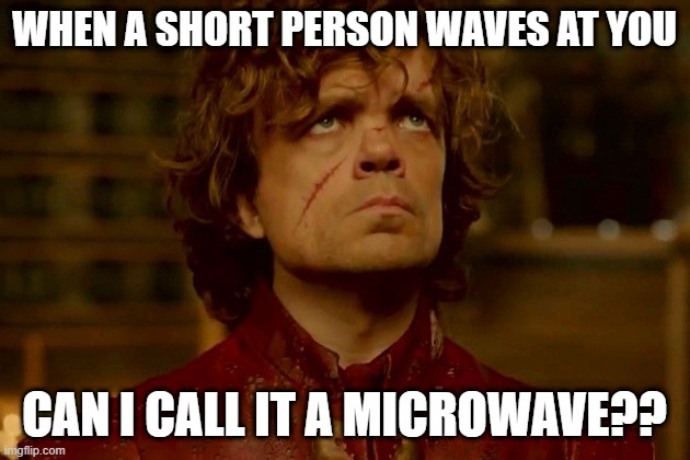 short | WHEN A SHORT PERSON WAVES AT YOU; CAN I CALL IT A MICROWAVE?? | image tagged in dwarffffff | made w/ Imgflip meme maker
