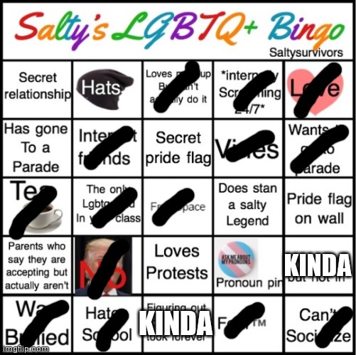 I've seen a protest near my house before tho! | KINDA; KINDA | image tagged in the pride bingo,bisexual,gender fluid,yes,pride | made w/ Imgflip meme maker