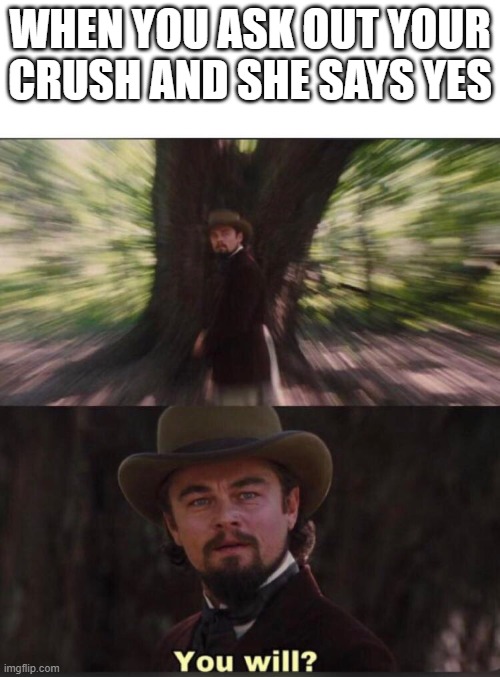 You will? Leonardo, django | WHEN YOU ASK OUT YOUR CRUSH AND SHE SAYS YES | image tagged in you will leonardo django | made w/ Imgflip meme maker