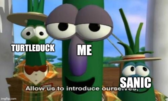 Allow us to introduce ourselves | SANIC TURTLEDUCK ME | image tagged in allow us to introduce ourselves | made w/ Imgflip meme maker