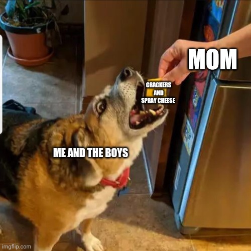 Todd | MOM; CRACKERS AND SPRAY CHEESE; ME AND THE BOYS | image tagged in dog | made w/ Imgflip meme maker