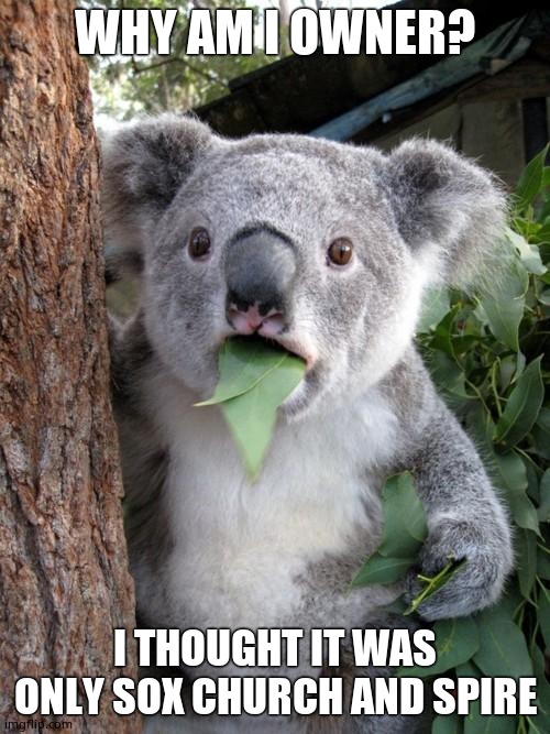 Surprised Koala | WHY AM I OWNER? I THOUGHT IT WAS ONLY SOX CHURCH AND SPIRE | image tagged in memes,surprised koala | made w/ Imgflip meme maker