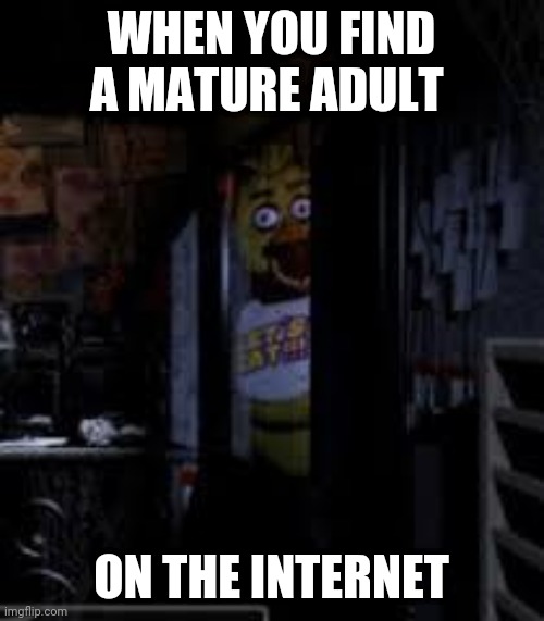 Chica Looking In Window FNAF | WHEN YOU FIND A MATURE ADULT; ON THE INTERNET | image tagged in chica looking in window fnaf | made w/ Imgflip meme maker