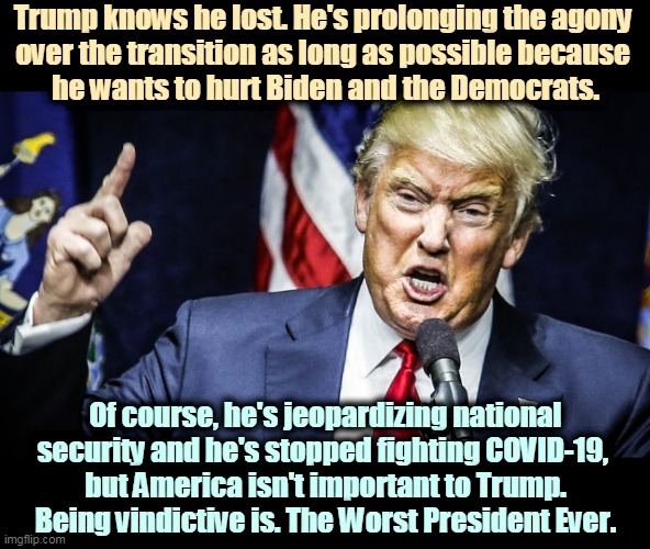 Americans are dying and he doesn't see it. He's only interested in settling scores, getting even. A small, petty man. | Trump knows he lost. He's prolonging the agony 
over the transition as long as possible because 
he wants to hurt Biden and the Democrats. Of course, he's jeopardizing national security and he's stopped fighting COVID-19, 
but America isn't important to Trump. Being vindictive is. The Worst President Ever. | image tagged in trump,petty,revenge,selfish,incompetence | made w/ Imgflip meme maker