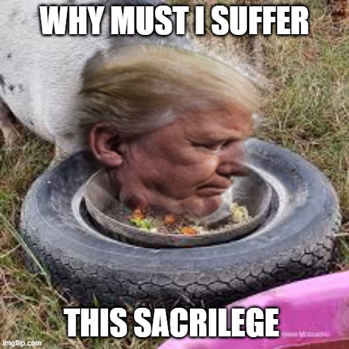 WHY MUST I SUFFER; THIS SACRILEGE | made w/ Imgflip meme maker