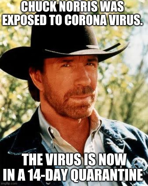 Comment if you want more chuck norris memes | CHUCK NORRIS WAS EXPOSED TO CORONA VIRUS. THE VIRUS IS NOW IN A 14-DAY QUARANTINE | image tagged in memes,chuck norris | made w/ Imgflip meme maker