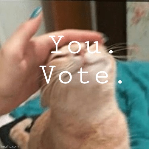 Pet the cat | You.   Vote. | image tagged in pet the cat | made w/ Imgflip meme maker