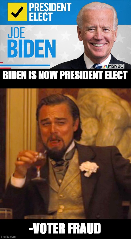 BIDEN IS NOW PRESIDENT ELECT; -VOTER FRAUD | image tagged in memes,laughing leo | made w/ Imgflip meme maker