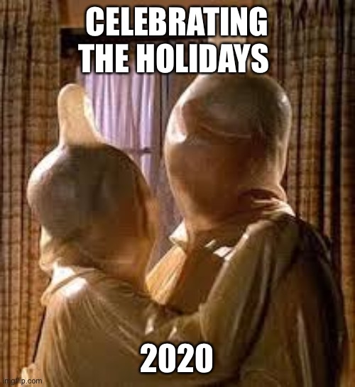 Holidays | CELEBRATING THE HOLIDAYS; 2020 | image tagged in covid,covid-19,lockdown | made w/ Imgflip meme maker