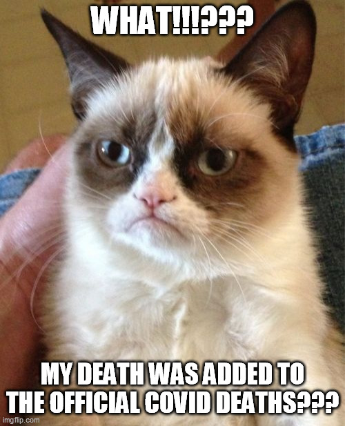 What!!!, Grumpy died of Covid19? | WHAT!!!??? MY DEATH WAS ADDED TO THE OFFICIAL COVID DEATHS??? | image tagged in grumpy cat,covid19 | made w/ Imgflip meme maker
