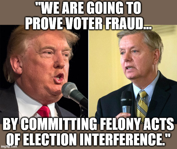 This is the reason why Republicans are not cheaters and hypocrites. | "WE ARE GOING TO PROVE VOTER FRAUD... BY COMMITTING FELONY ACTS OF ELECTION INTERFERENCE." | image tagged in prison for trumpf,prison for graham,lindsey graham,felony,georgia | made w/ Imgflip meme maker
