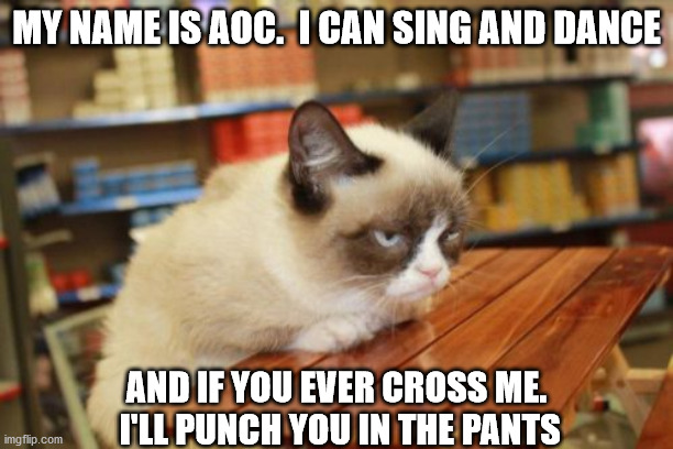 Grumpy Cat Table | MY NAME IS AOC.  I CAN SING AND DANCE; AND IF YOU EVER CROSS ME.  I'LL PUNCH YOU IN THE PANTS | image tagged in memes,grumpy cat table,grumpy cat | made w/ Imgflip meme maker