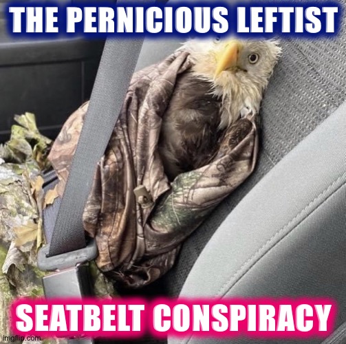 When they try to shove seatbelt laws down the throat of America. | THE PERNICIOUS LEFTIST; SEATBELT CONSPIRACY | image tagged in seatbelt eagle,seatbelt,safety first,road safety,safety,conservative logic | made w/ Imgflip meme maker