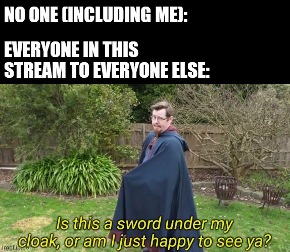 Is this a sword under my cloak? | NO ONE (INCLUDING ME):; EVERYONE IN THIS STREAM TO EVERYONE ELSE: | image tagged in is this a sword under my cloak | made w/ Imgflip meme maker