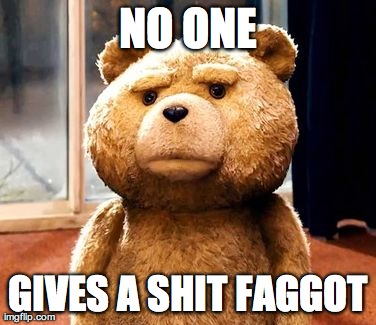TED Meme | NO ONE GIVES A SHIT F*GGOT | image tagged in memes,ted | made w/ Imgflip meme maker