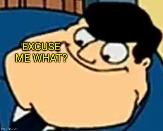 EXCUSE ME WHAT? | made w/ Imgflip meme maker
