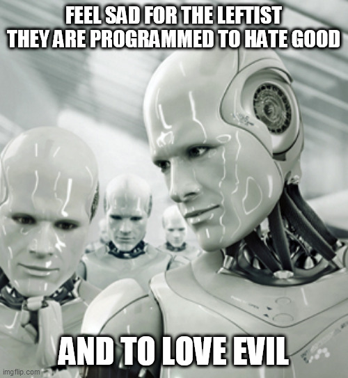 Robots Meme | FEEL SAD FOR THE LEFTIST THEY ARE PROGRAMMED TO HATE GOOD; AND TO LOVE EVIL | image tagged in memes,robots | made w/ Imgflip meme maker