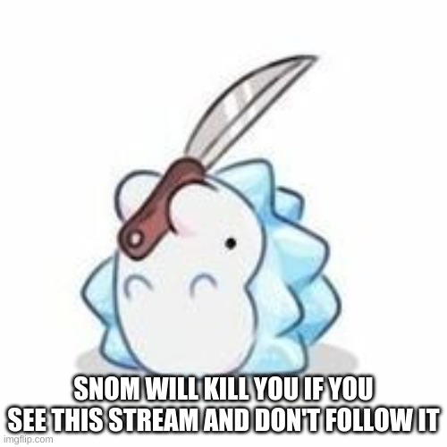 Snom has knife | SNOM WILL KILL YOU IF YOU SEE THIS STREAM AND DON'T FOLLOW IT | image tagged in snom has knife | made w/ Imgflip meme maker