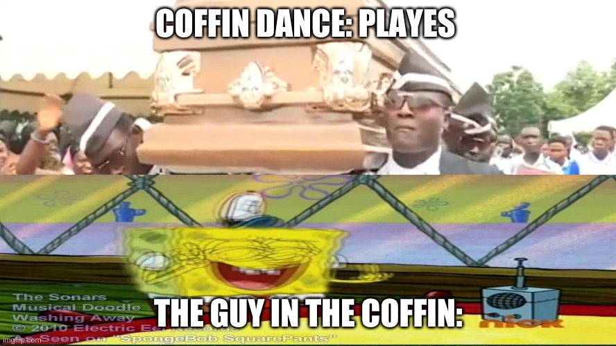 Coffin Dance | COFFIN DANCE: PLAYES; THE GUY IN THE COFFIN: | image tagged in coffin dance | made w/ Imgflip meme maker