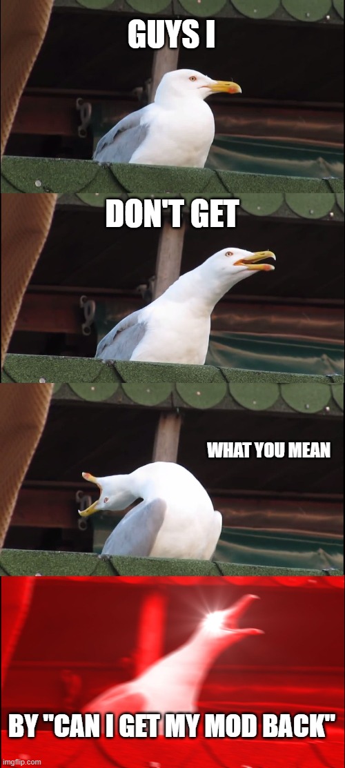 I don't pls tell me | GUYS I; DON'T GET; WHAT YOU MEAN; BY "CAN I GET MY MOD BACK" | image tagged in memes,inhaling seagull | made w/ Imgflip meme maker