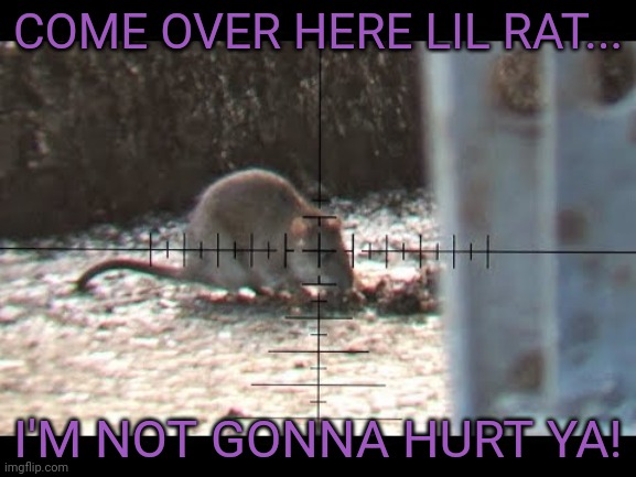 COME OVER HERE LIL RAT... I'M NOT GONNA HURT YA! | made w/ Imgflip meme maker