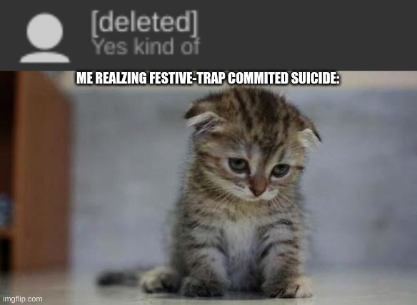 R.I.P festive-trap. We will miss you. F in the chat | ME REALZING FESTIVE-TRAP COMMITED SUICIDE: | image tagged in sad kitten | made w/ Imgflip meme maker