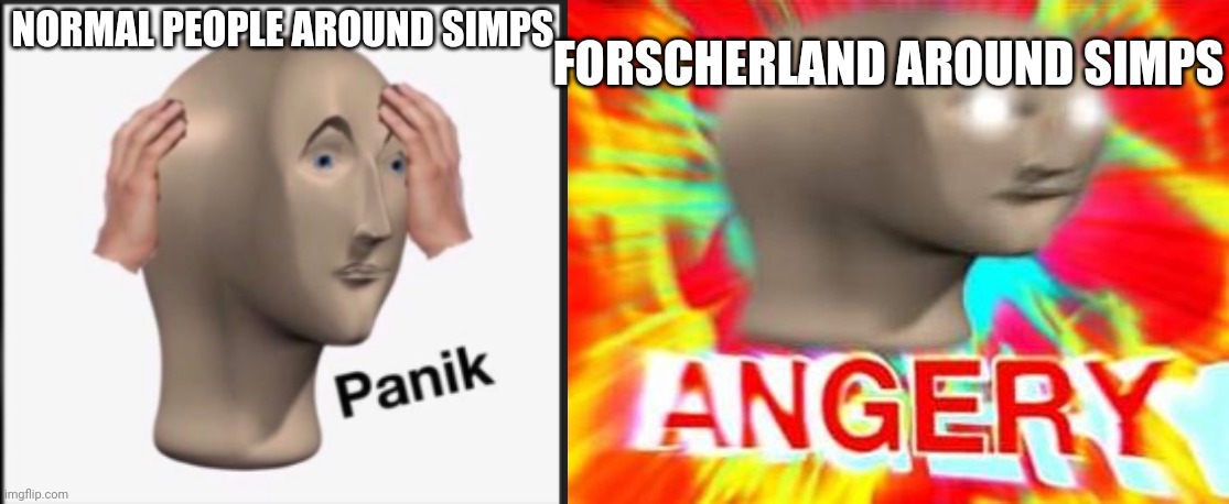 FORSCHERLAND AROUND SIMPS; NORMAL PEOPLE AROUND SIMPS | image tagged in panik,surreal angery | made w/ Imgflip meme maker