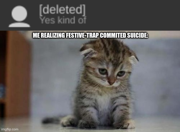 R.I.P festive-trap. We will miss you. F in the chat | ME REALIZING FESTIVE-TRAP COMMITED SUICIDE: | image tagged in sad kitten | made w/ Imgflip meme maker