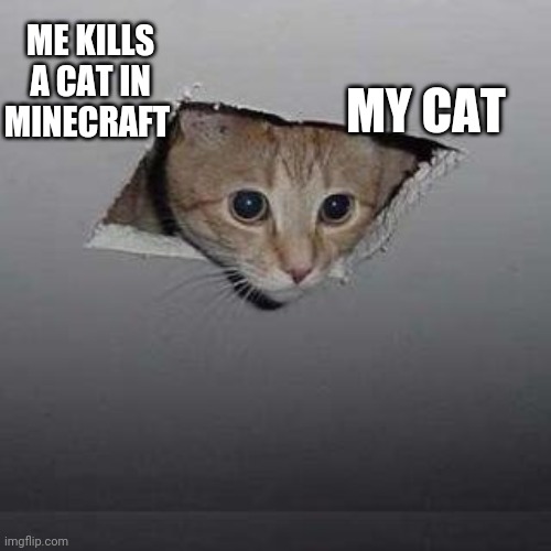 Ceiling Cat | MY CAT; ME KILLS A CAT IN MINECRAFT | image tagged in memes,ceiling cat | made w/ Imgflip meme maker