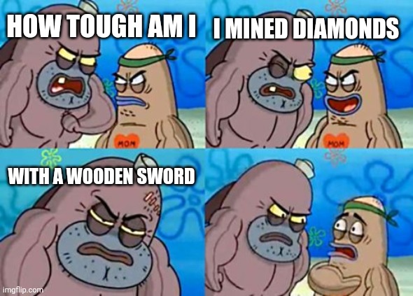 How Tough Are You Meme | I MINED DIAMONDS; HOW TOUGH AM I; WITH A WOODEN SWORD | image tagged in memes,how tough are you | made w/ Imgflip meme maker