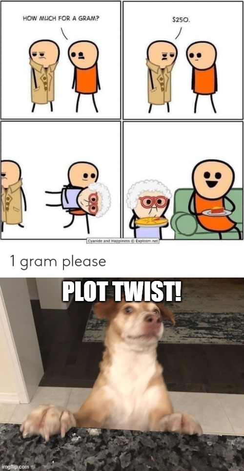 PLOT TWIST | PLOT TWIST! | image tagged in plot twist | made w/ Imgflip meme maker