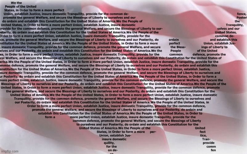 United States Constitution | image tagged in flag,constitution,the constitution | made w/ Imgflip meme maker