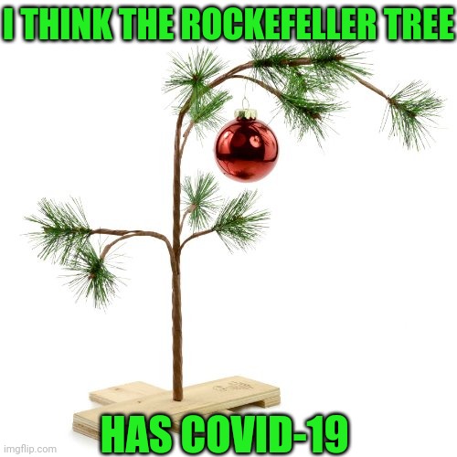 Charlei Brown christmas tree | I THINK THE ROCKEFELLER TREE; HAS COVID-19 | image tagged in charlei brown christmas tree | made w/ Imgflip meme maker
