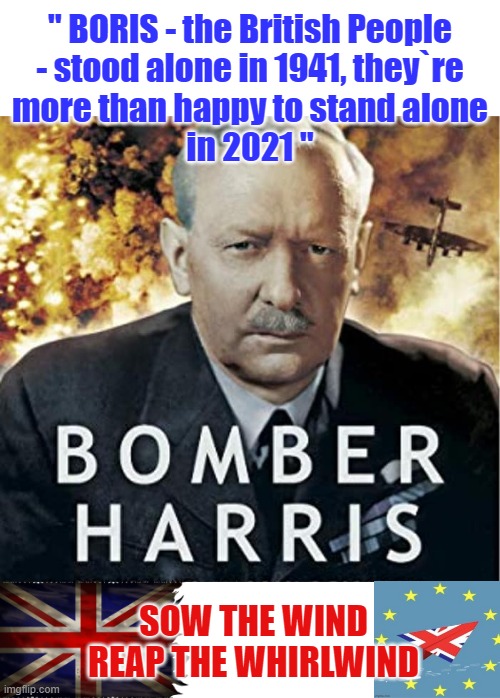 Sow the Wind | " BORIS - the British People
- stood alone in 1941, they`re
more than happy to stand alone
in 2021 "; SOW THE WIND
REAP THE WHIRLWIND | image tagged in boris johnson | made w/ Imgflip meme maker